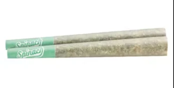 GMO Cookies 2 x 1g Pre-Rolls