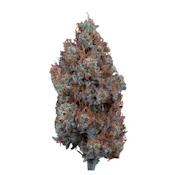 Mystic Mountain 1.5 :1 - 3.5g