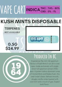 1964 - KUSH MINTS FSE RESIN ALL-IN-ONE DISPOSABLE