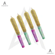 Passion Plunge & Lime Frizz Razz | 4x0.5g