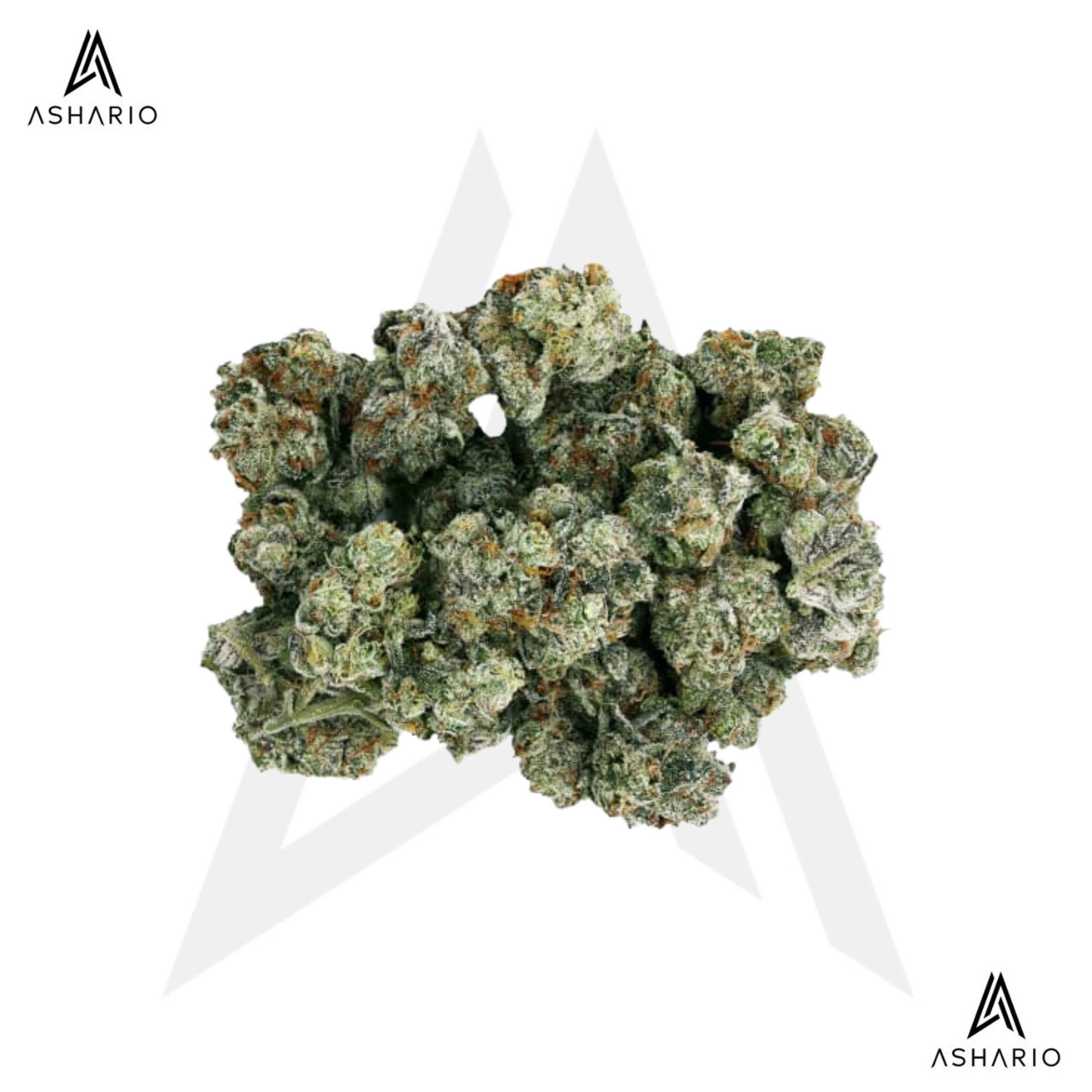 STARTING POINT - Frenchy Macaroni | 28g Main Image