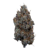 Sweetgrass Cannabis | Mystic Mountain 1.5:1 Flower | 3.5g