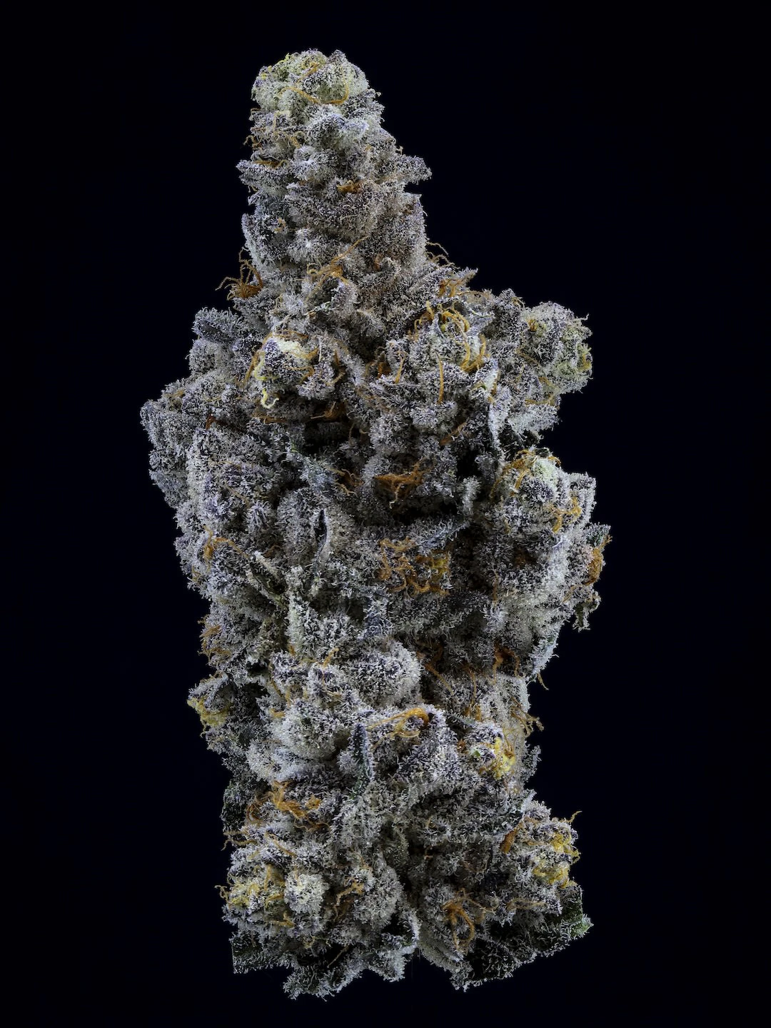 Sweetgrass Organic Cannabis - Sweetgrass Cannabis | Limelight Flower Petites | 3.5g Main Image