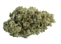 Pedro's Prima Sativa 7g Dried Flower