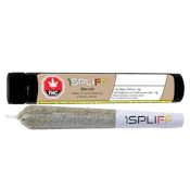 Biscotti 2 x 1g Pre-Rolls