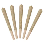 Watermelon 5 x 0.5g Infused Pre-Rolls