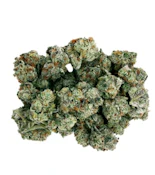 Frenchy Macaroni 14g Dried Flower