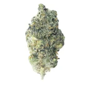 VANCITY CANNABIS - Reserve Indica 7g