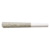 Truro - Jealousy x Apples & Bananas Pre-Roll - 1x0.5g