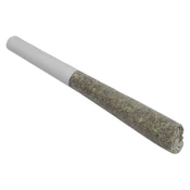 Dime Bag - Citrus Burst Pocket Rockets Infused Pre-roll - 1x0.5g