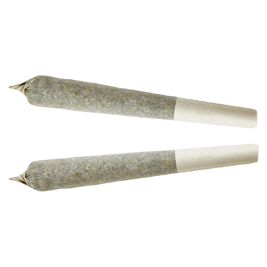 XPLOR - XPLOR - Sativa Pre-roll - 2x1g Main Image