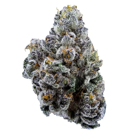Sweetgrass Organic Cannabis - LIMELIGHT FLOWER PETITES - 14 Main Image