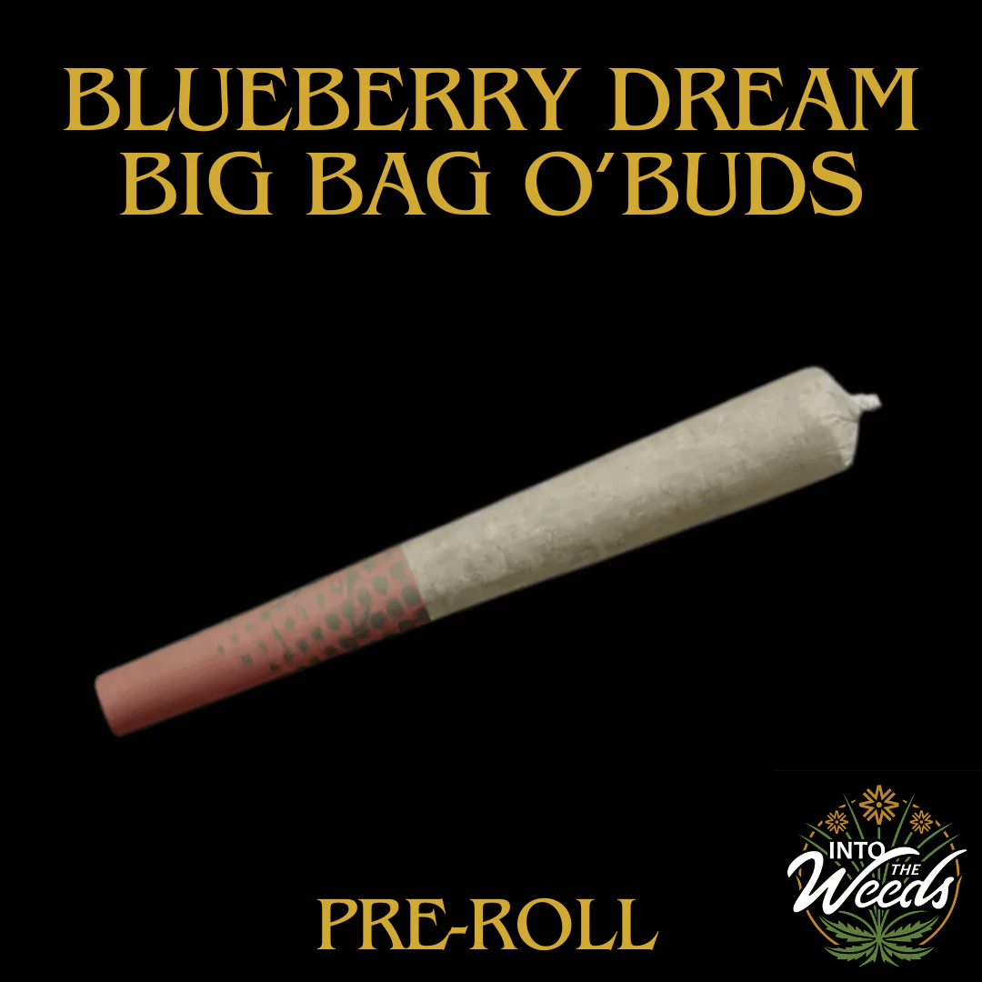 Big Bag O' Buds - Blueberry Dream - 10 x 0.5g Main Image