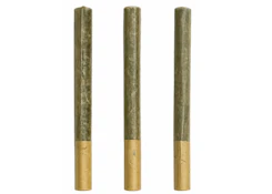 ORGANIC LILLOOET GOLD (LTO) | 3 x 0.5g