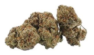 Zombie Kush - 14g
