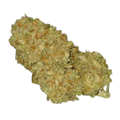 ROMULAN - 7