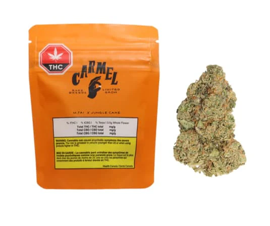 Carmel - M. Tai X Jungle Cake LTO 3.5G Main Image