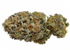 FORMULA ONE | 2g