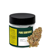 Pure Sunfarms Purple Fog LTO - 14g