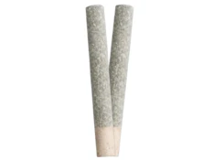 CALI SKUNK | 2 x 1