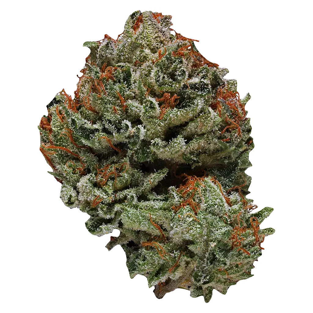 Ripped - Ripped Sativa 28g Dried Flower Main Image