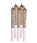 Amnesia Haze Pre-Roll 1x0.5g Pre-Rolls