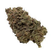 Jungle Fumes 3.5g Dried Flower