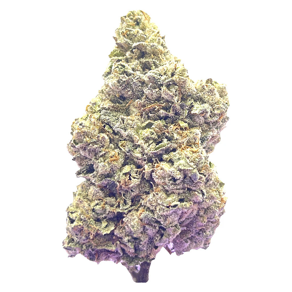 HighXotic - Royal Dive #7: Scarface OG 3.5g Dried Flower Main Image