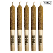 General Admission | Frozen Watermelon Hi-Fi Infused Pre-Roll | 1x1g *