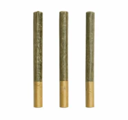 Ross' Gold | ORGANIC LILLOOET GOLD STRAIGHT CUT PRE-ROLLS LTO | 3 x 0.5g