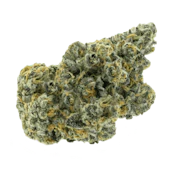 LEMONADE GUSHERS - 3.5