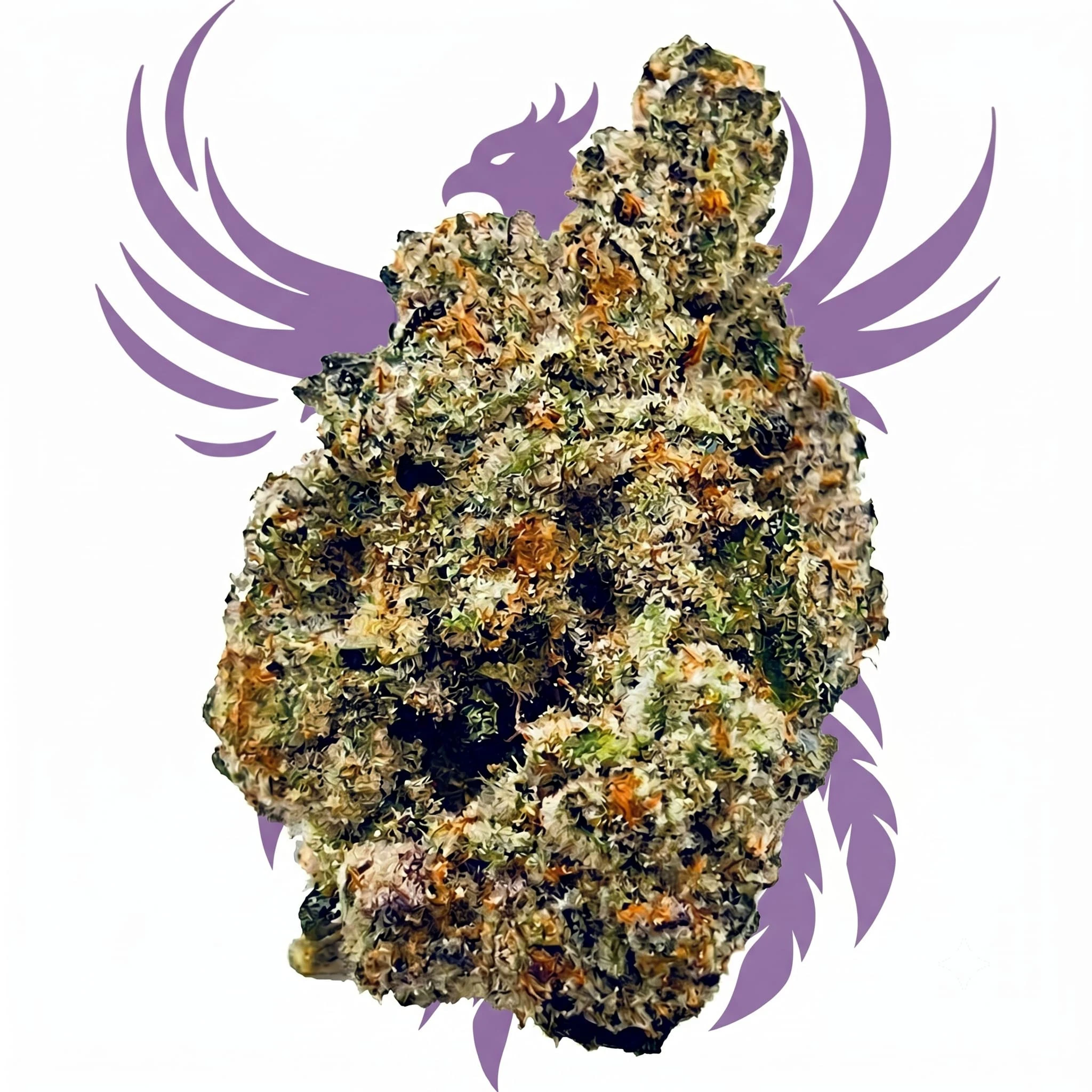 HighXotic - Royal Dive #2: Dark Plasma 3.5g Dried Flower Main Image