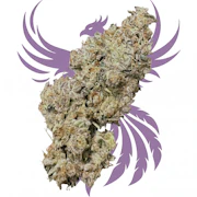 Royal Dive#1: Black Mountain Side 3.5g Dried Flower