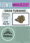3.5G - TRIBAL - GRAN TURISMO