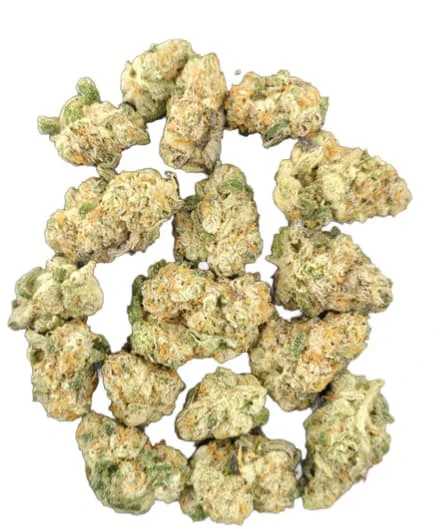 VICTORIA CANNABIS COMPANY - ROLL-X MINI'S - 3.5 Main Image