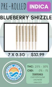 PAPA JOES ORGANICS - 7PK BLUEBERRY SHIZZLE PRS