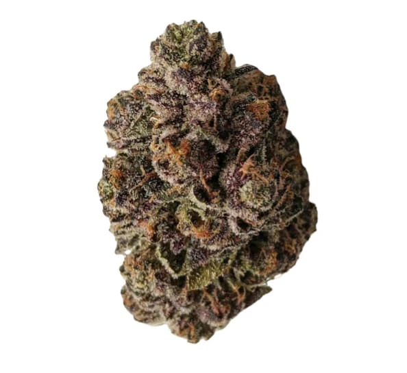 Cappellano Co. - Cappellano Cannabis Co. | Organic Nonna Red | 3.5 g Main Image