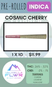 VALHLLA FLWR - 1PK COSMIC CHERRY PR