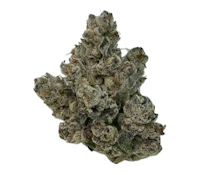Rocky Mountain Cannabis | Cappy Gilmore | 7 g
