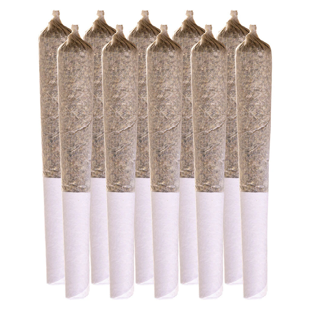 Station House - Station House Summer Legacy Variety Pack Pre-Roll 10x0.5g Pre-Rolls Main Image
