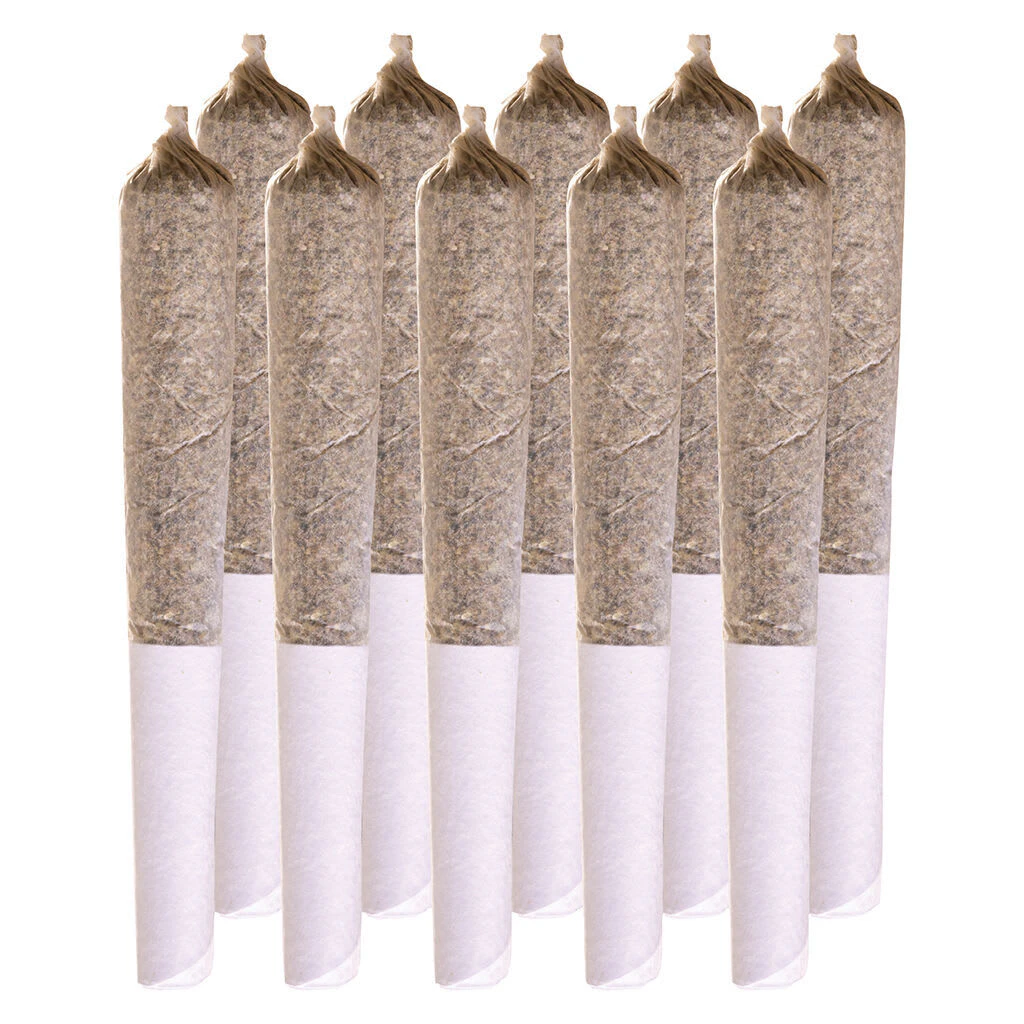 Station House - Station House - Rockstar Kush Pre-Roll 10x0.5g Pre-Rolls Main Image