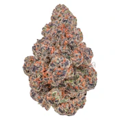 Blackberry Gelato 7g Dried Flower