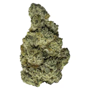 Terp Town Collective | Runt Puncher | 3.5g