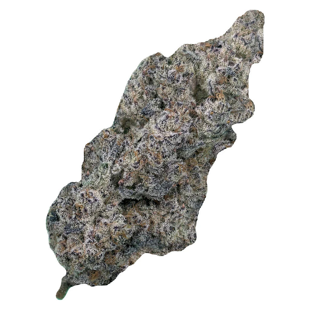 Cultures Chloris - Truffaloha - Hybrid - 7g Main Image