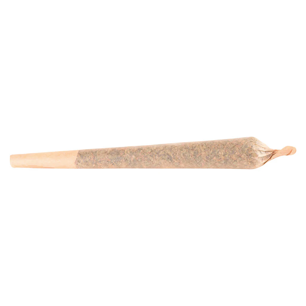 Terp Town Collective - Terp Town Collective | Runt Puncher Pre-Roll | 1x1g Main Image