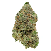 BC Organic Hibachi Blue 3.5g Dried Flower