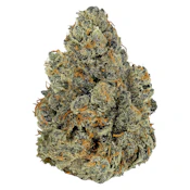 Gastro pop 14g Dried Flower