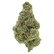 BC Organic Lime Drizzle 28g Dried Flower