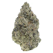 Sunset Sherbet Craft Flower 14g Dried Flower