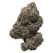 Pistol and Paris | Pink Rockstar | 7g